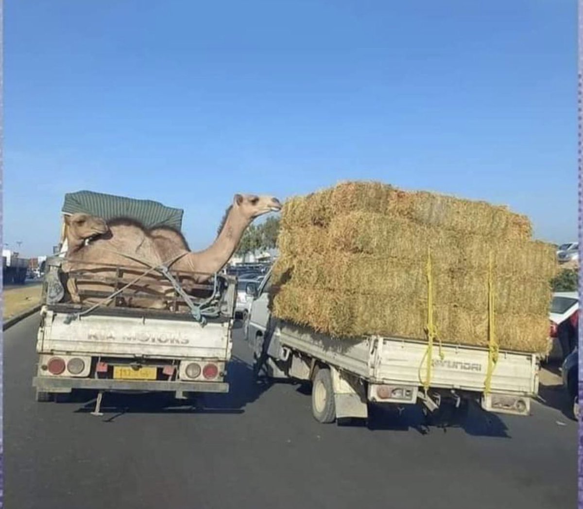 "رزقك بجيك ف محلك" 🤍🫶🏽