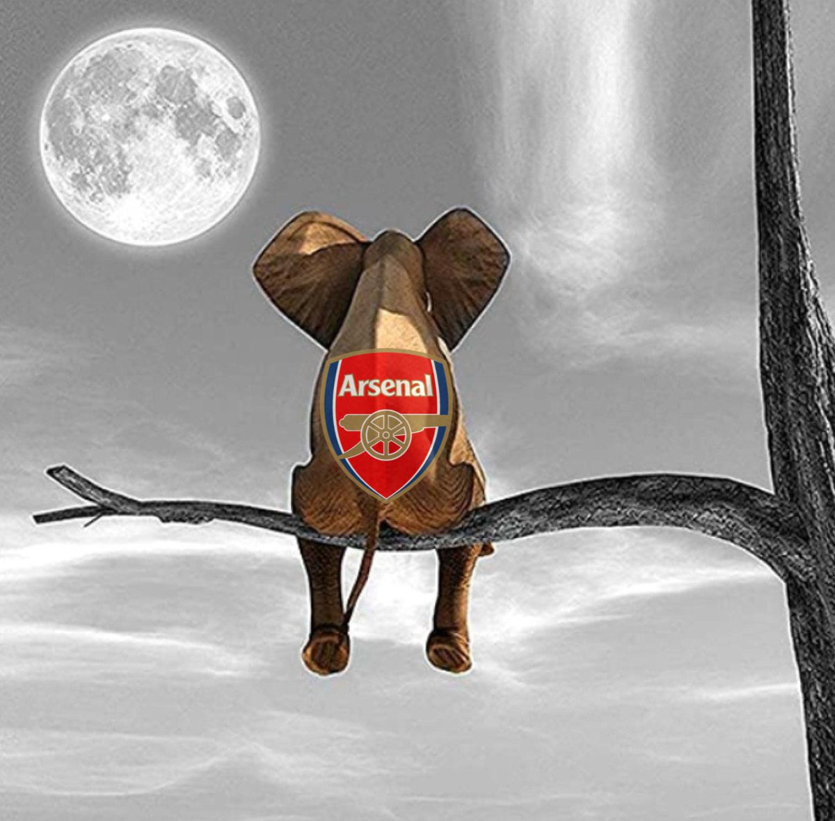 Gooner Chris tweet media