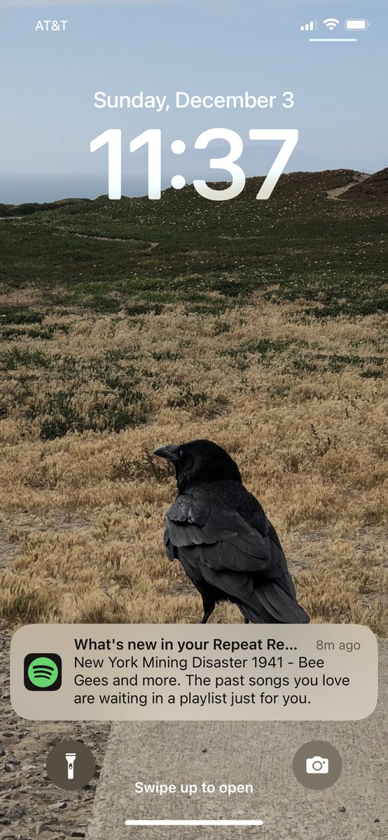 Karl Pichotta tweet media