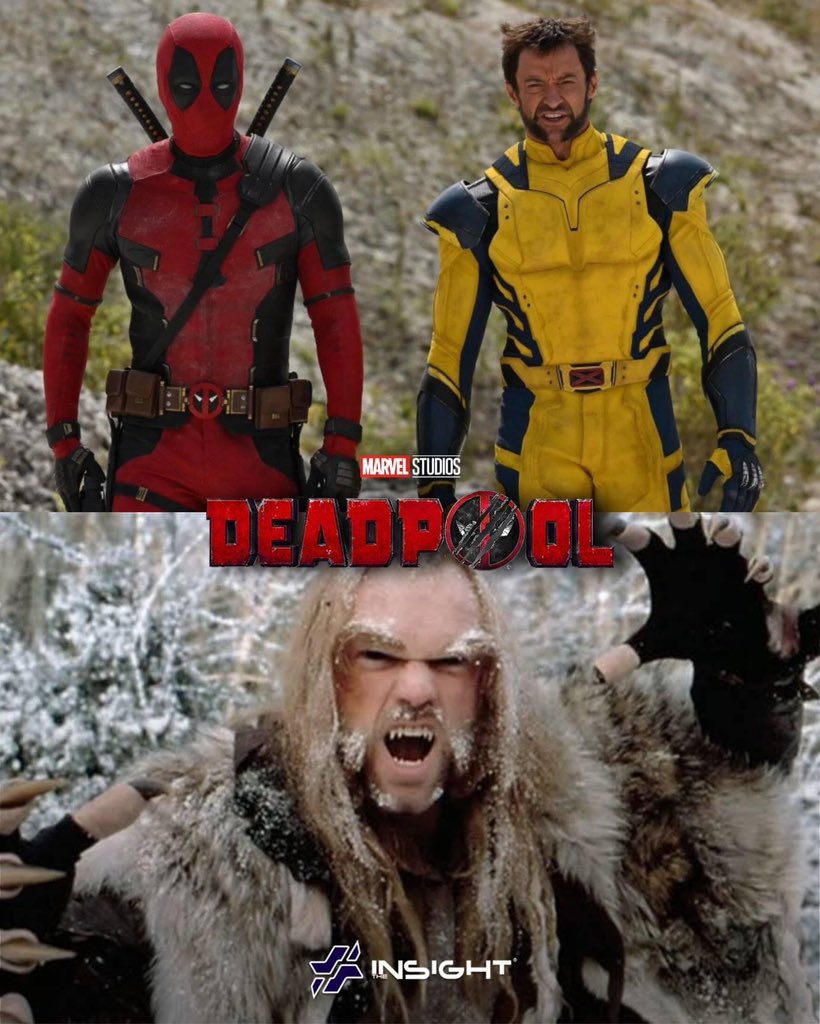 The New Insight tweet media