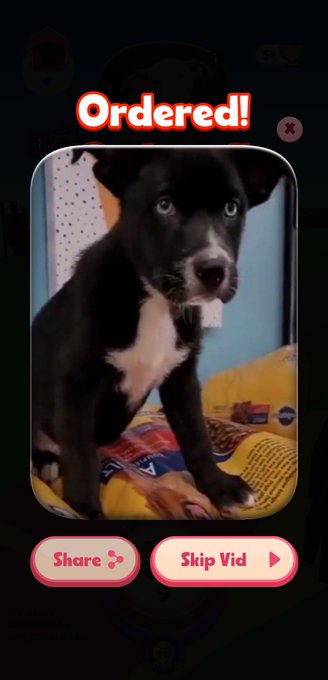 "So cool! I play &amp; send goodies to shelter dogs for free - Try it https://t.co/aHEkw6Dwk2 " https://t