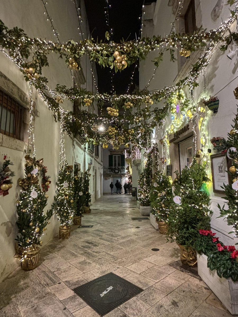 annarita digiorgio tweet media