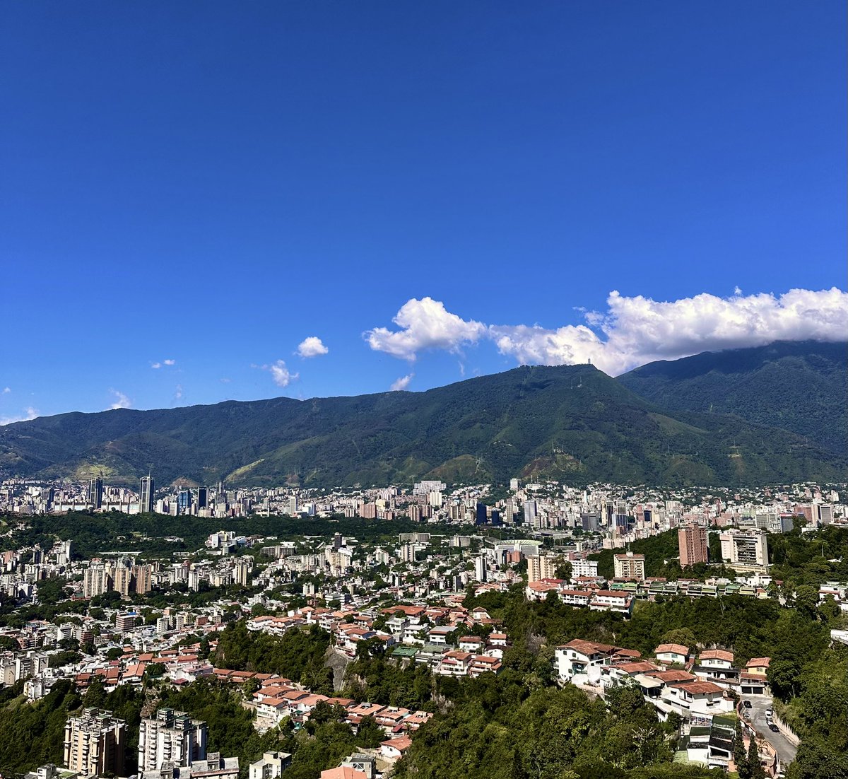 Athenea Cuotto Abad tweet media