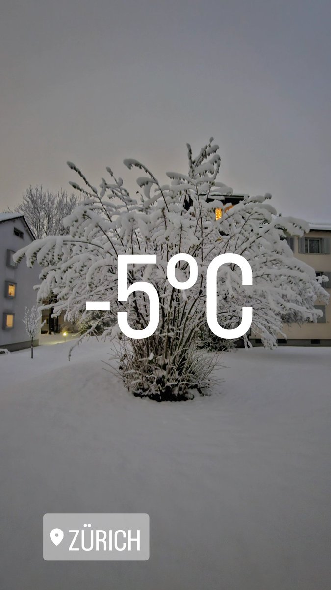 xanitaf's tweet photo. Não é chuva nem orvalho. 
É um frio do caralho!
😶‍🌫️😶‍🌫️❄️❄️ https://t.co/AQjtundJV8