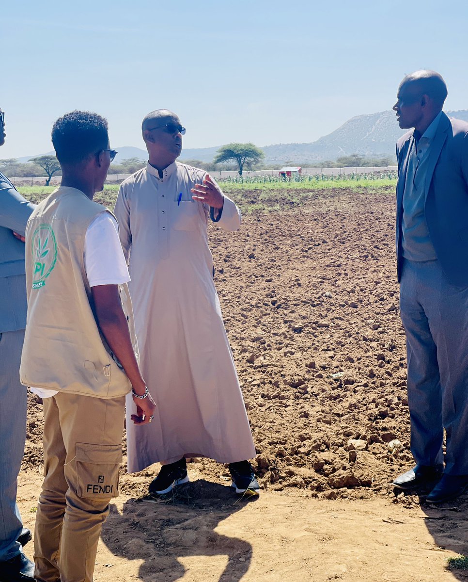 IbrahimBaaGeY's tweet photo. @CpiCrop (CPI Agribusines) has established a three of  (9x40m2) in Amoud University ,Borama in collaboration with @save_children 
under Food security and livelihood reselience project in Awdal and Gebiley regions, Somaliland. https://t.co/LCbty3hmjM