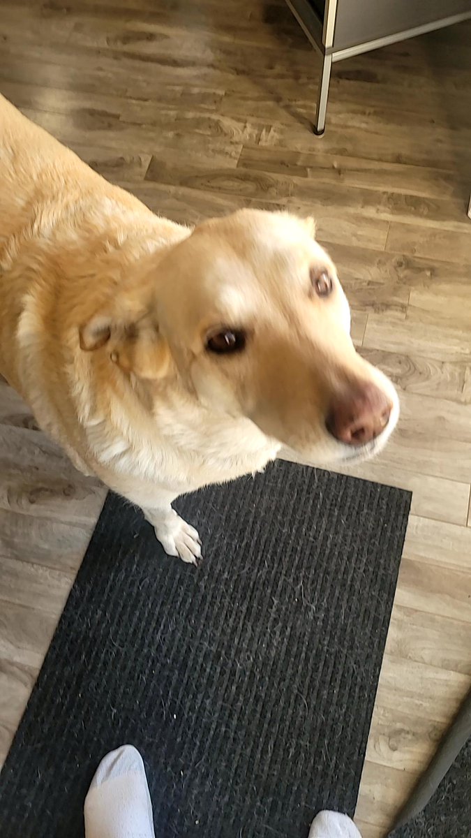 Steelwheel tweet media