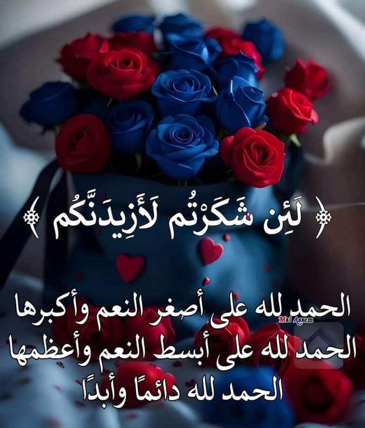 #علي_المدفع