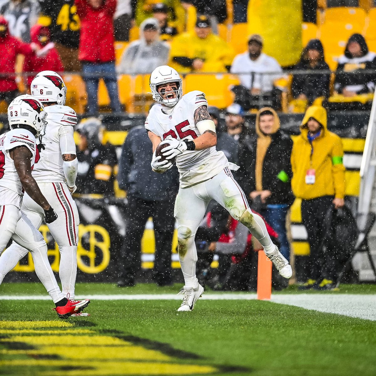 Arizona Cardinals tweet media