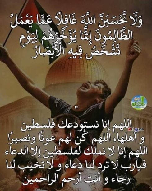 شاركونا الدعاء لفلسطين واهل فلسطين 🙏🏻