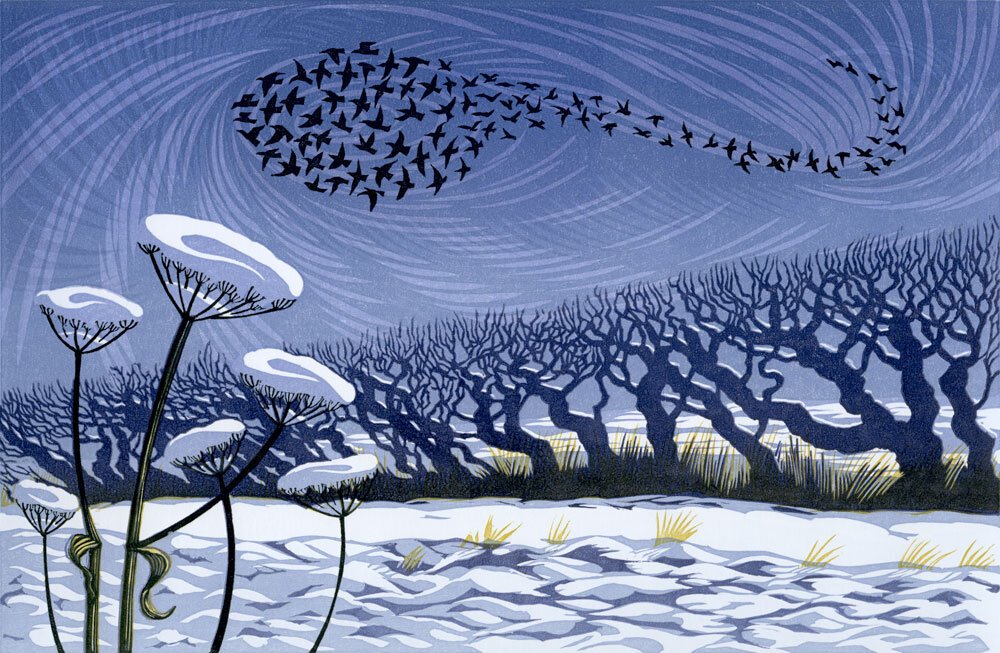 Snow Starlings © Niki Bowers