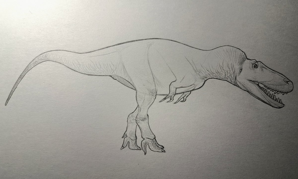 oacS9QANfFSIGBk's tweet photo. Tarbosaurus' subadolt

#paleoart #paleontology #dinosaurs #tarbosaurus https://t.co/XEv2JUP5kq