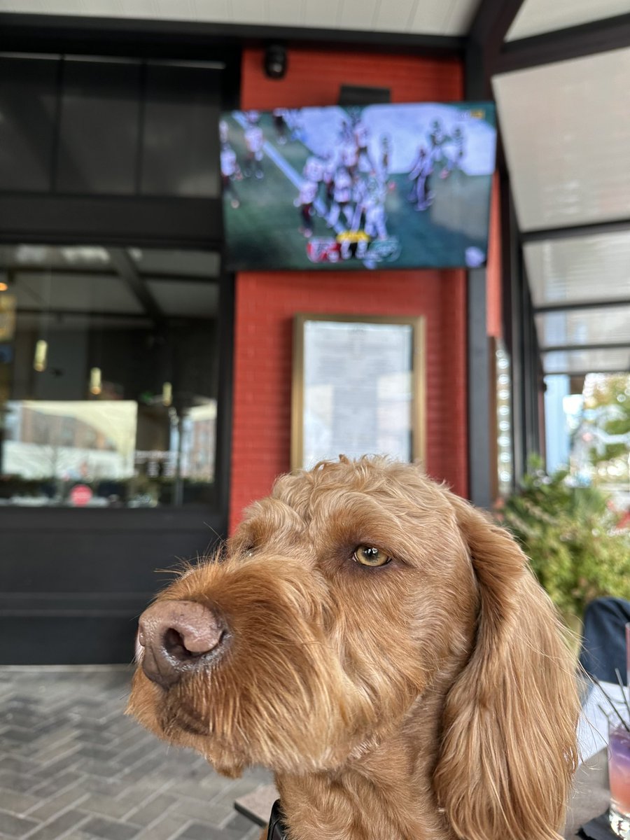 MikeBell929 tweet media