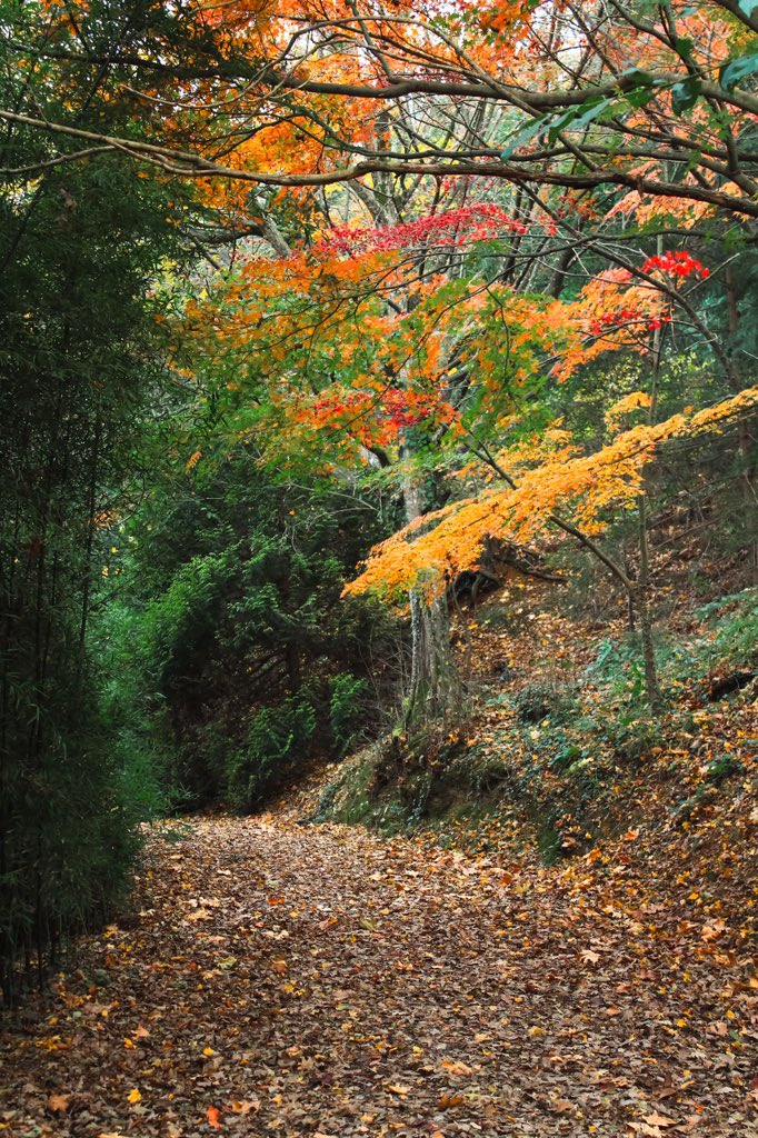 @dunyagozuyIe Atatürk arboretumu