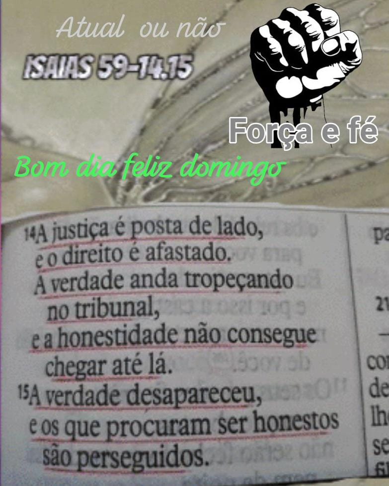 Celso Antunes Machado tweet media