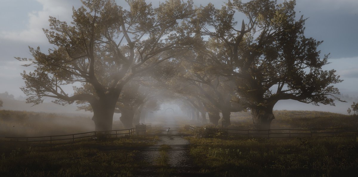 wistfulembrace's tweet photo. Red Dead Redemption 2 https://t.co/t9XK8NnNHz