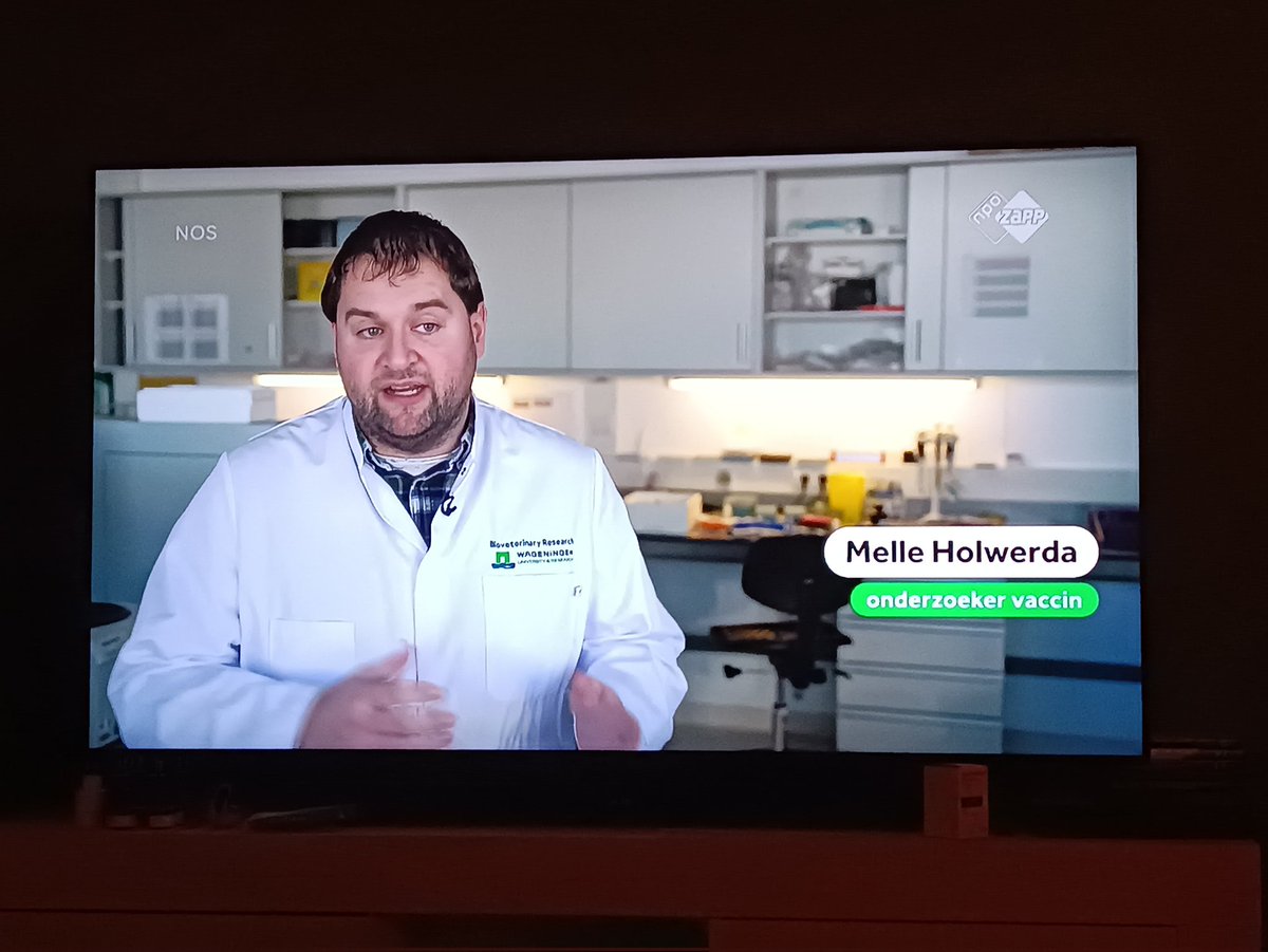 It feels a bit weird to see yourself back on national television! 📺 But happy to answer the questions that the amount of suspicions of BTV are declining, but the danger is not yet over. #blauwtong #bluetongue