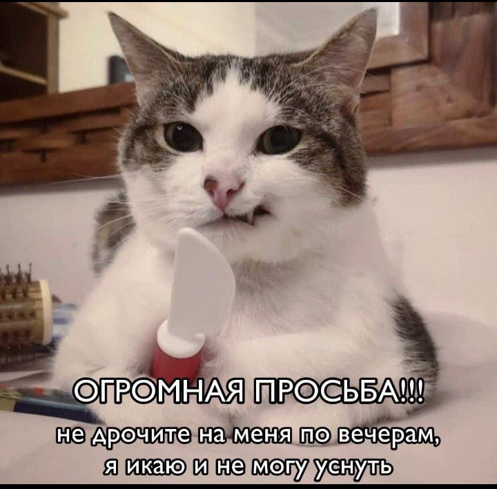 Время мемов 😅