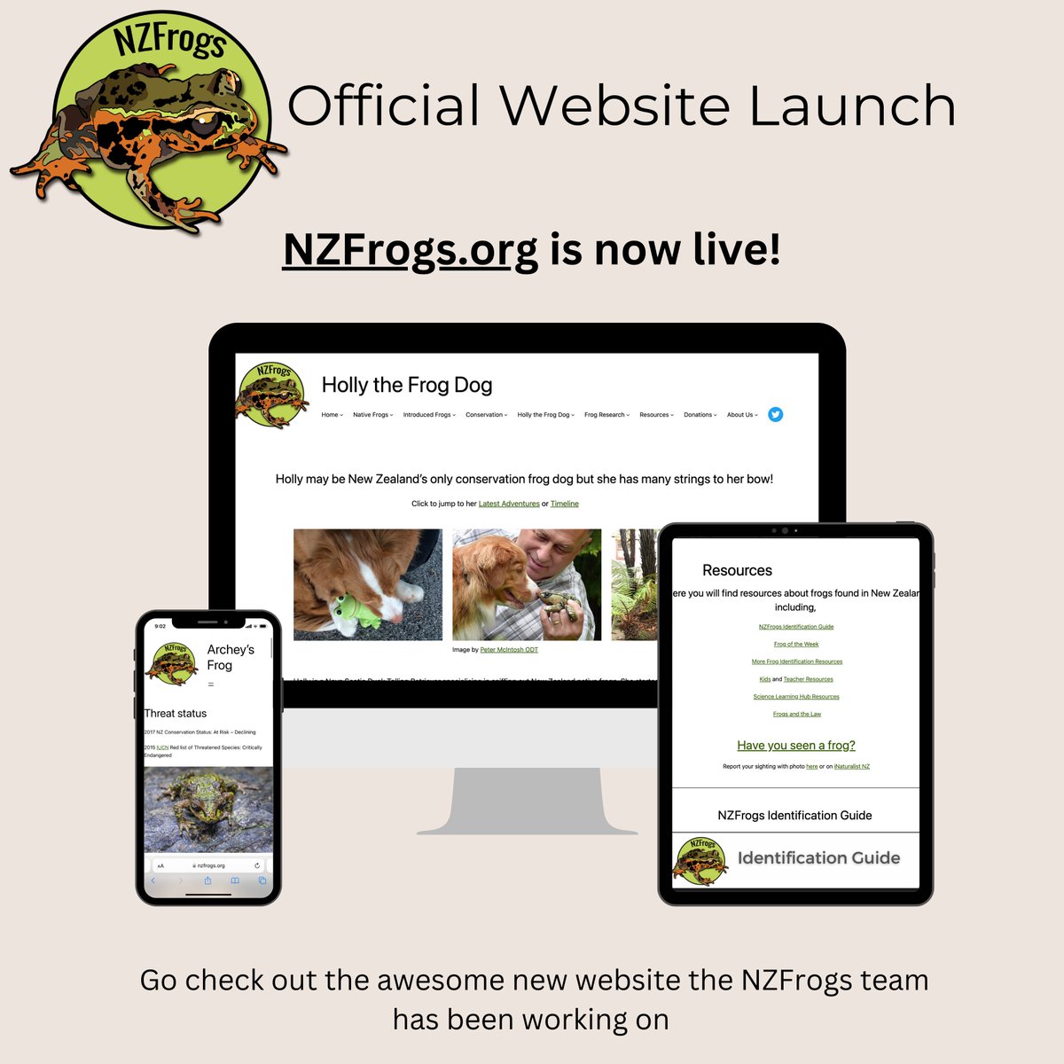 Tobia_Dale's tweet photo. This morning I launched the website I've been working on all year with the help of my NZFrogs team members Debbie Bishop and Hadley Muller... Hope you enjoy and we have reinstated frog of the week! https://t.co/4KYsVsWIaS @_NZFrogs https://t.co/acQYYjc0rE