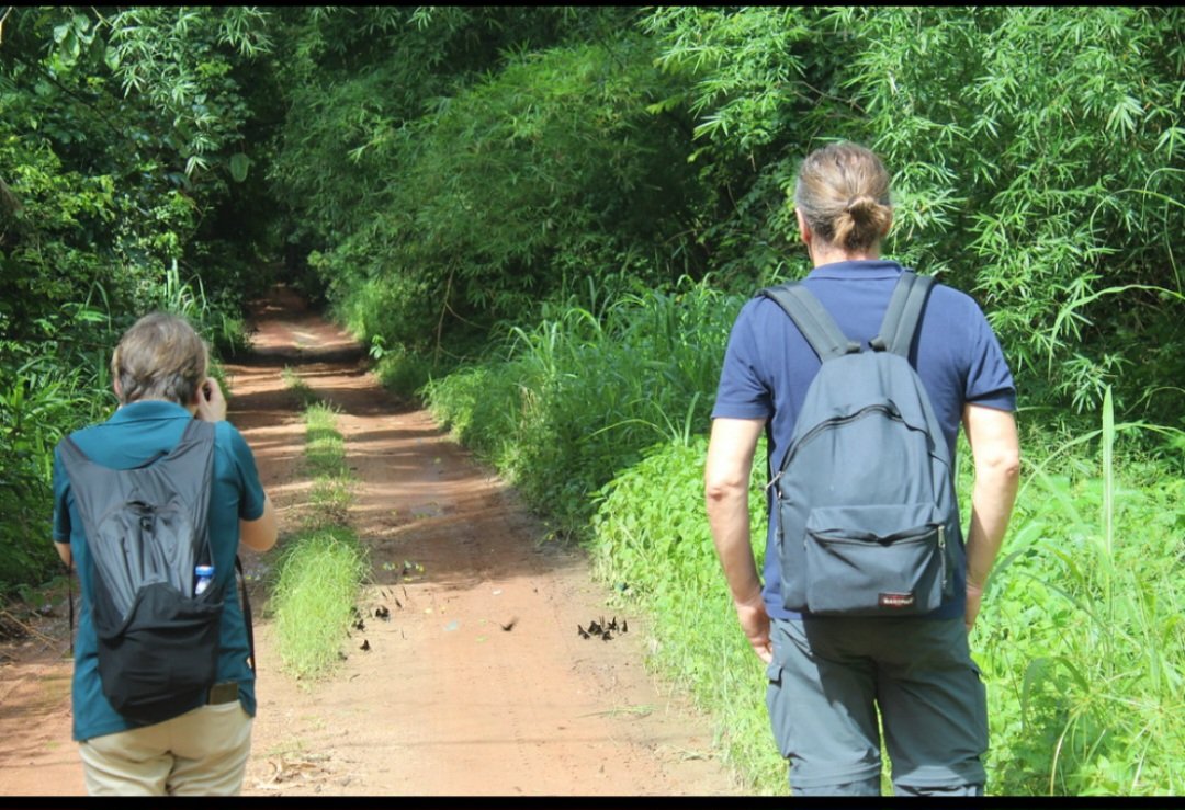 csirforig tweet media