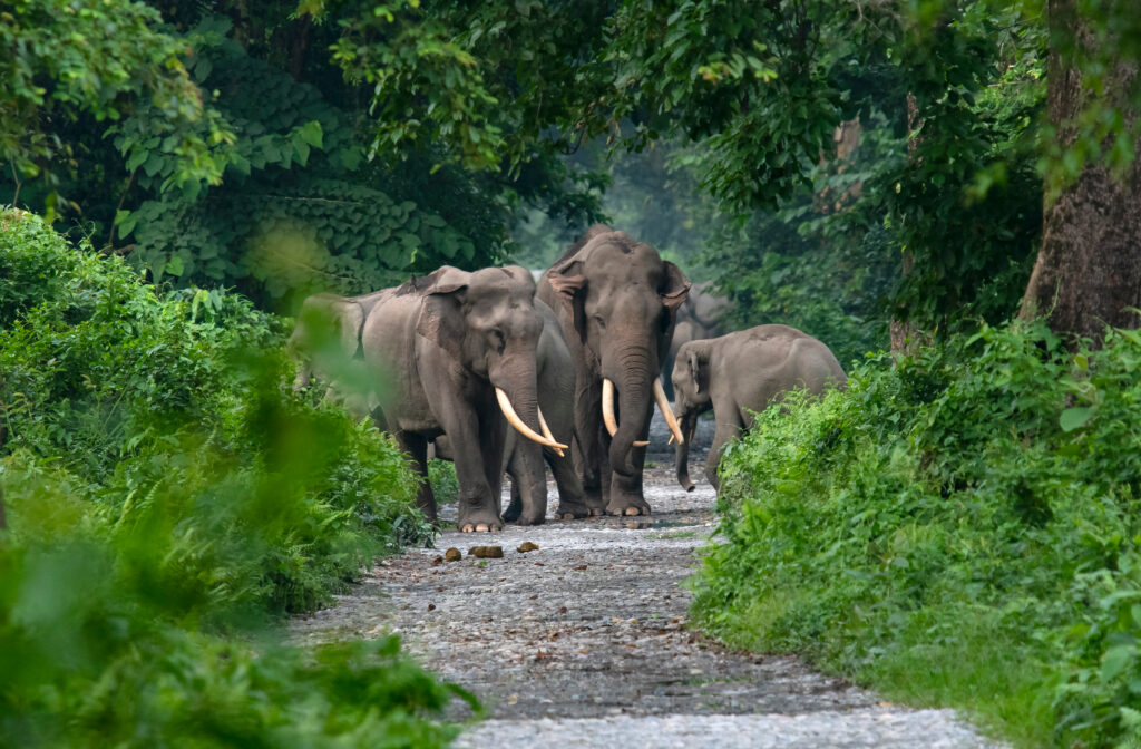 WebScaleDBA's tweet photo. Explore the core of #PostgreSQL in our new piece on PostgreSQL parser hacking! 🔍 Learn the intricacies of database architecture and boost your #DBMS expertise. Discover more here 👉 https://t.co/nv1NwNTUGM #DBA #PostgreSQLDBA @PostgreSQL #PostgreSQLInternals https://t.co/TIxZQeqZCV