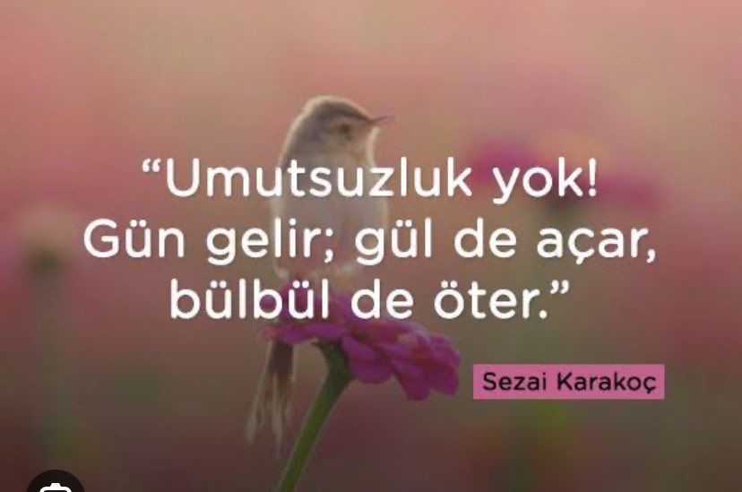 Av.Celal ZUNGULDAK (@avzunguldak) on Twitter photo 