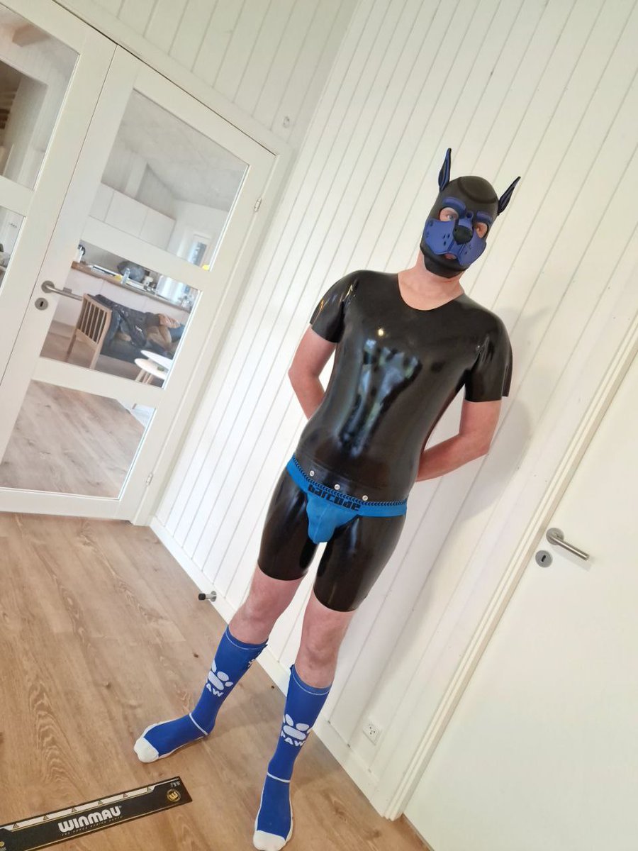 Pup_Pending (@pendingpup) on Twitter photo 