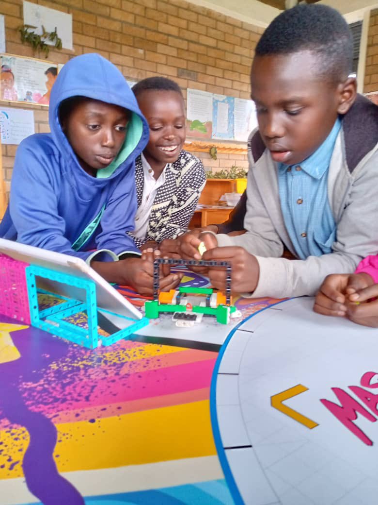 STELA, Inc tweet media