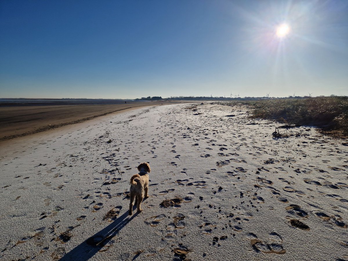 Bethany🦋 tweet media