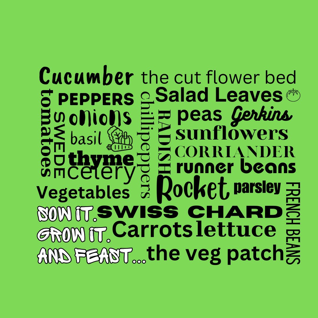 SowGrowFeast's tweet photo. Sow It, Grow It and Feast. 😊 
Launching our new product range December 6th 2024! 👏 Follow us to be the first to receive our opening offers. 😍
#sowit #growit #andfeast! #sowitgrowitandfeast! #seeds #vegetablegardening #vegpatch #vegetablegardener #kitchengardener #kitchengarden https://t.co/2rxuBnbHbK