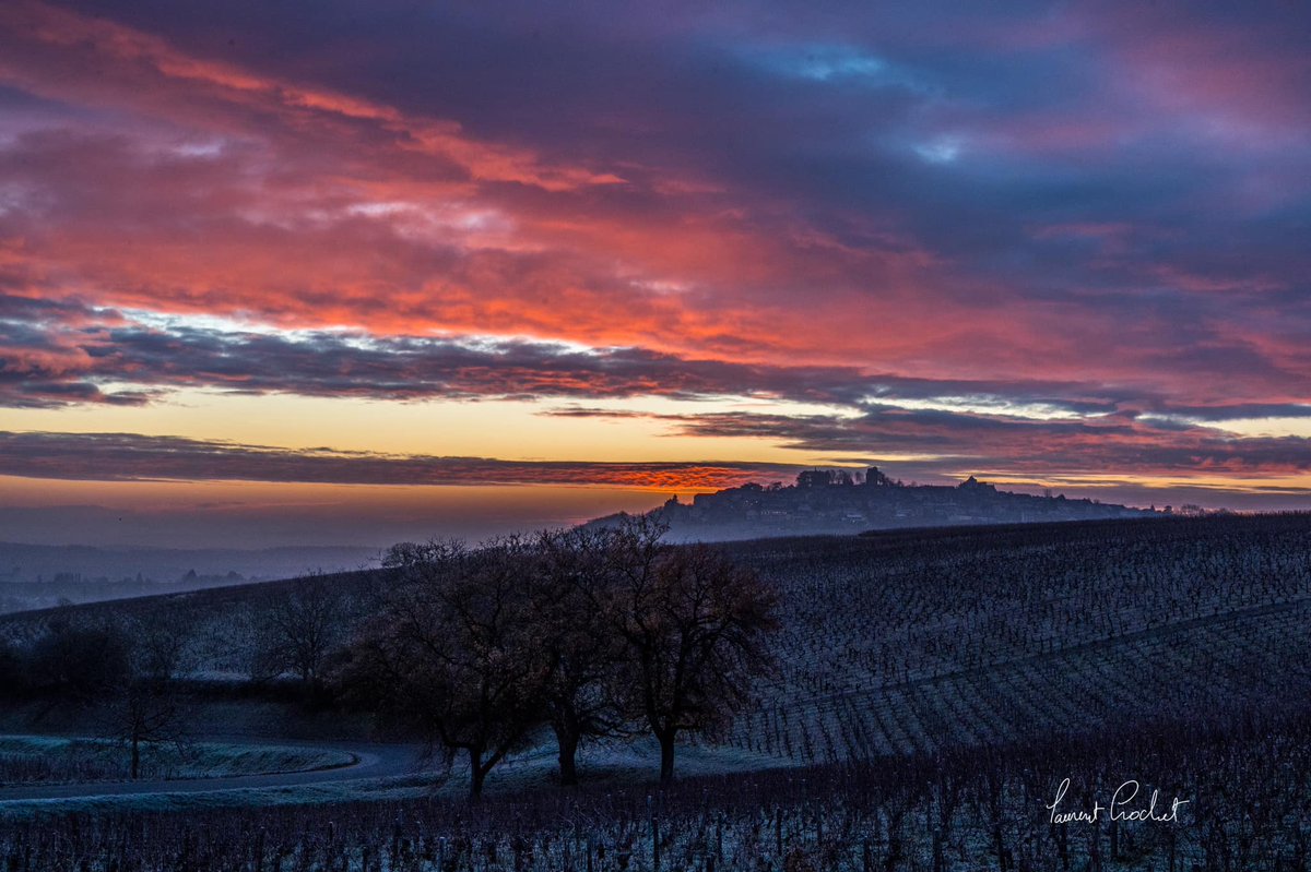 AssoMeteoCVDL's tweet photo. [Ambiance hivernale ce dimanche matin dans le Cher]

Magnifique ambiance hivernale 😍 observée ce dimanche matin, à l'aube, dans le @departement_18, dans le #Sancerrois. 
Notre @RCValdeLoire a connu sa nuit la plus froide de la saison pour l'instant.
Photos : Laurent Crochet. https://t.co/bNQsSYHcqu