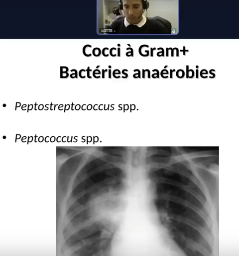 SVT académie de Nice tweet media