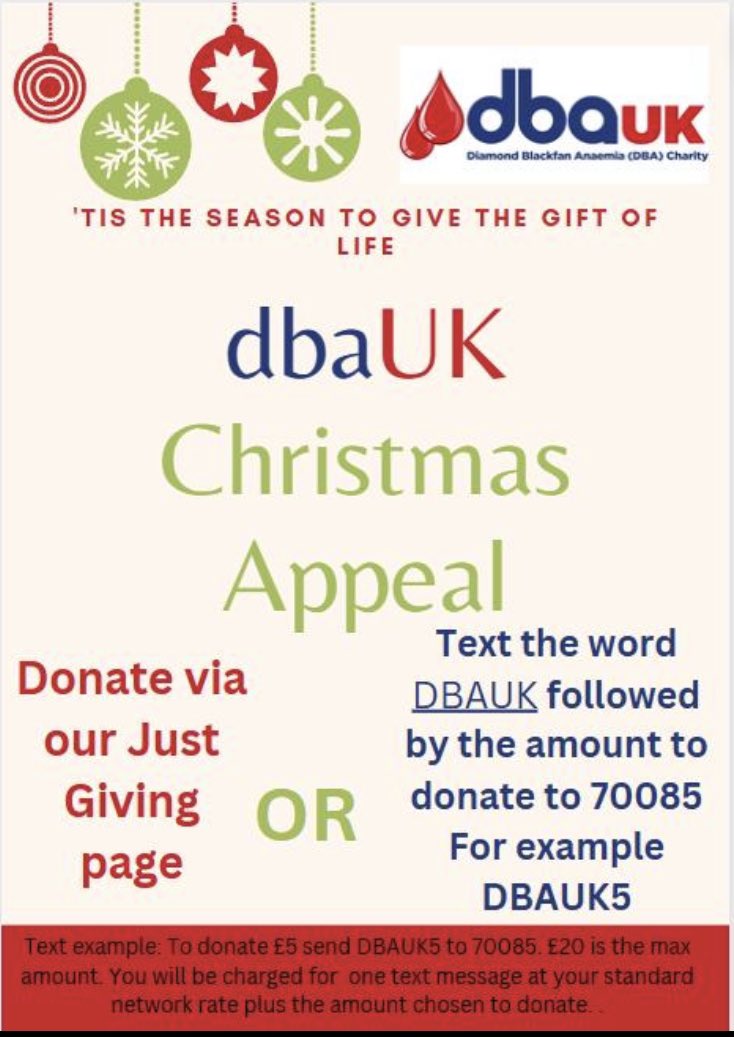 DBA_UK's tweet photo. 🎄🎄
To all our friends, families and supporters. 

Please help us this Christmas time to raise vital funds for our small charity with big ambitions. 

🎄How can you help? 🎄

🎅🏽Share far and wide with your friends and families.🧑‍🎄

Donate instead of Christmas https://t.co/RtFWmESahn