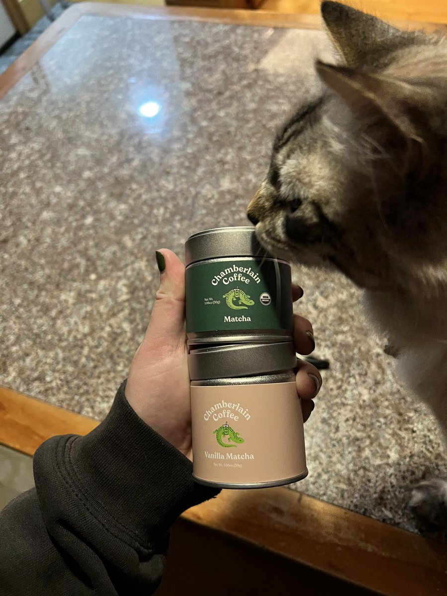 lillymidd's tweet photo. Slightly criminal the size of these tins. Taste test will determine. Ollie is wondering too. @Chamberlaincof https://t.co/FJNG8bZnQs