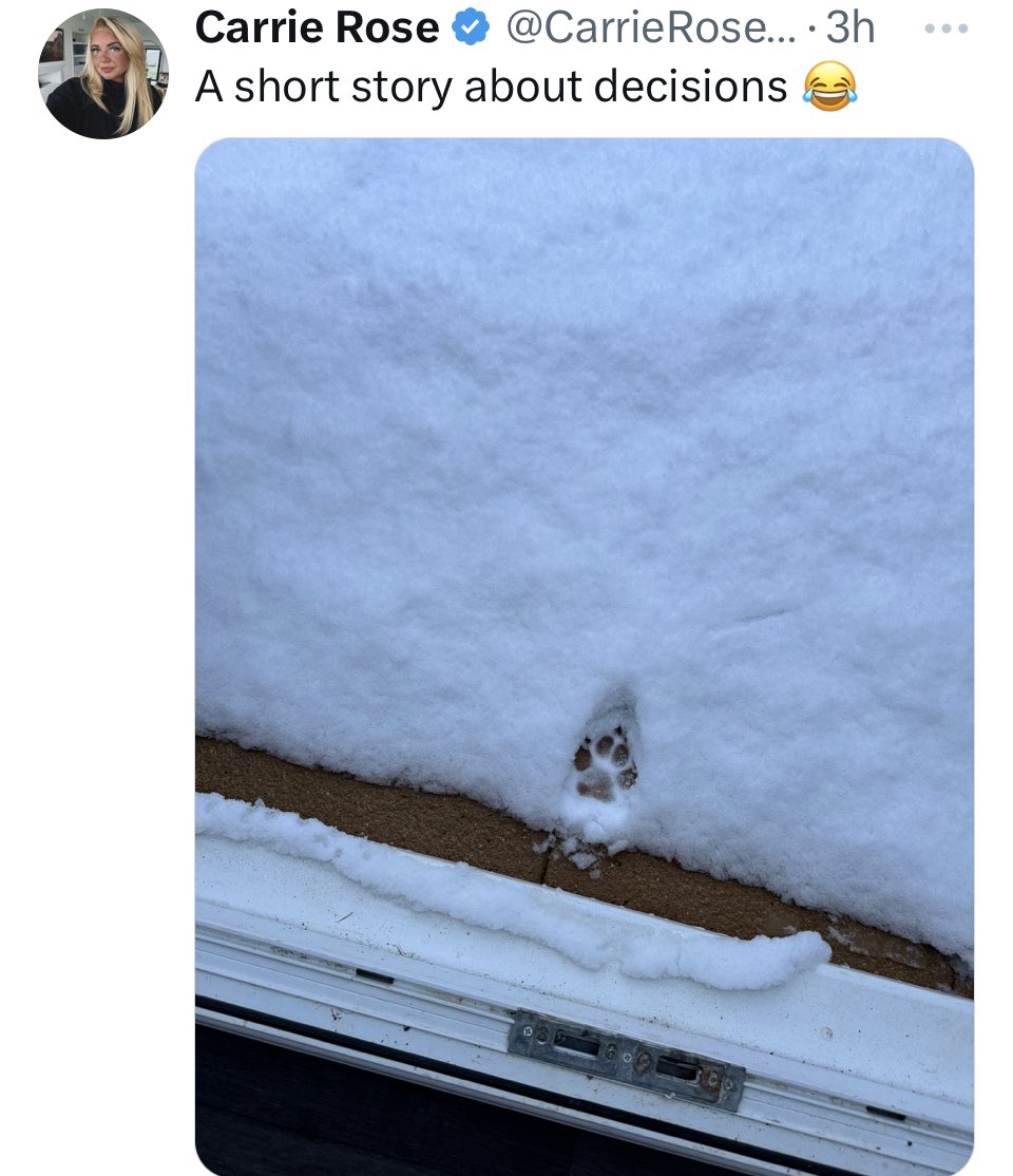 brightsitedes's tweet photo. @RunningTalesPod Weird - saw this one earlier https://t.co/8YwIOMw2eu