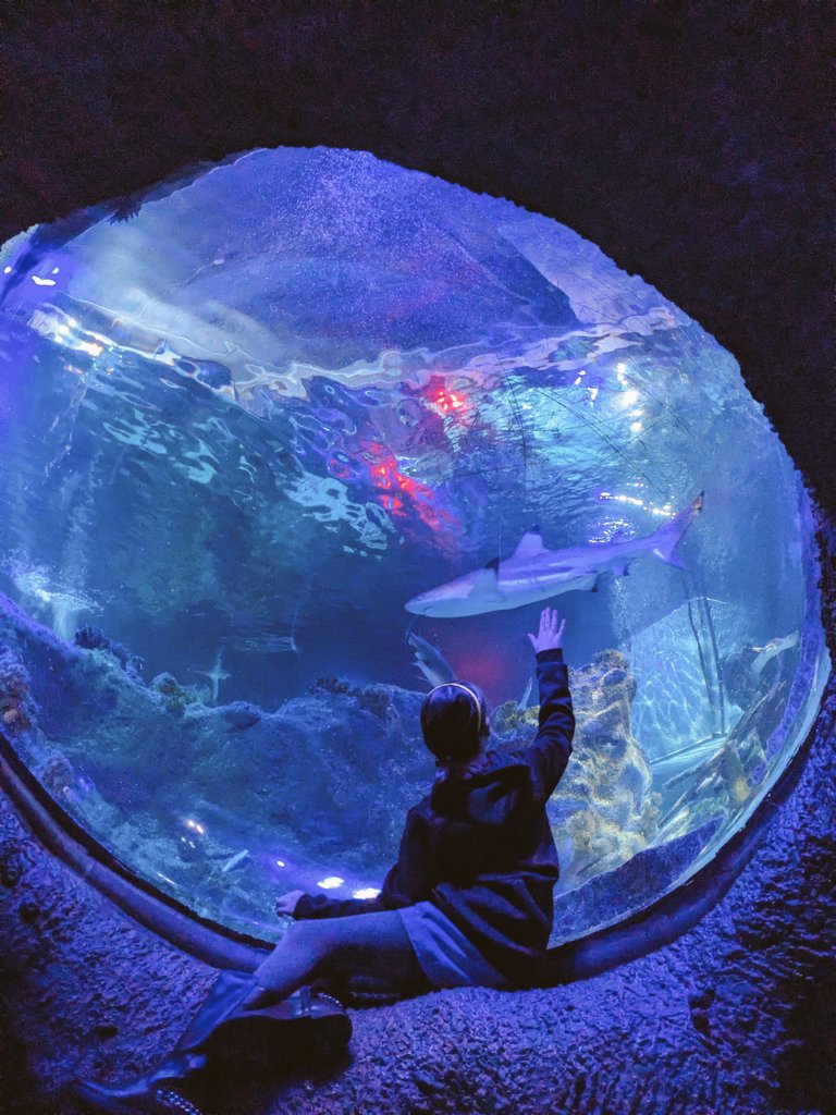 Marion McDonald tweet media