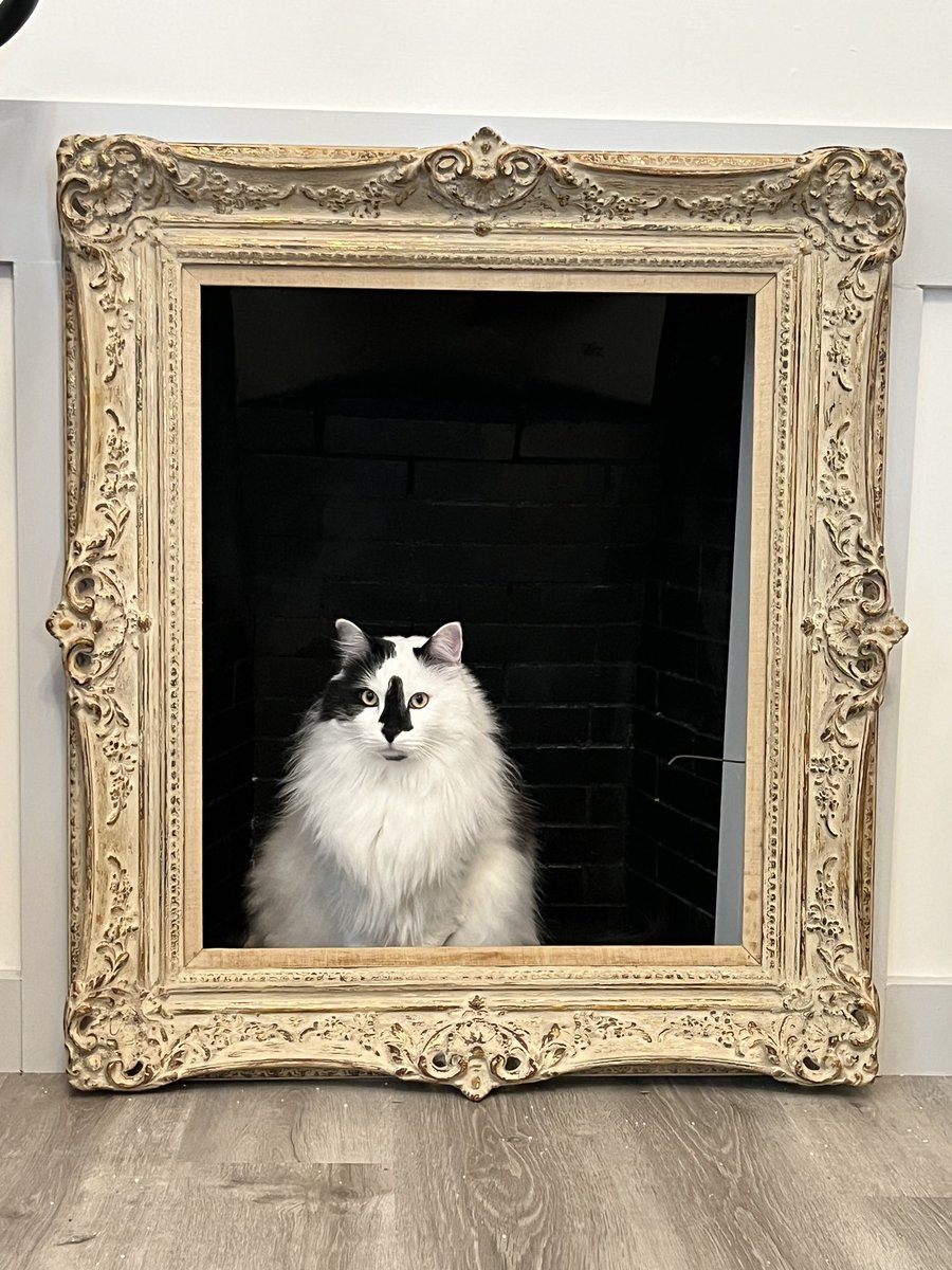 doodlerabides's tweet photo. https://t.co/ZMJcOZnNs7