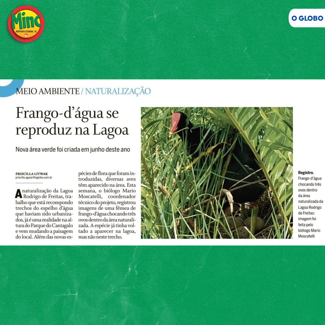 Carlos Minc tweet media