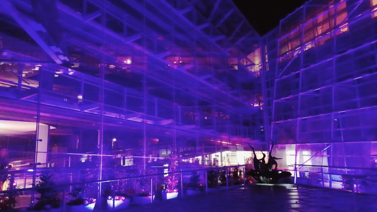 access_maynooth's tweet photo. Thrilled to see the entrance to Aras Chill Dara lit up purple 💜💜💜💜#IDPWD2023 #PurpleLights23 #KildareDisabilityWeek https://t.co/o8LnZXaaEY