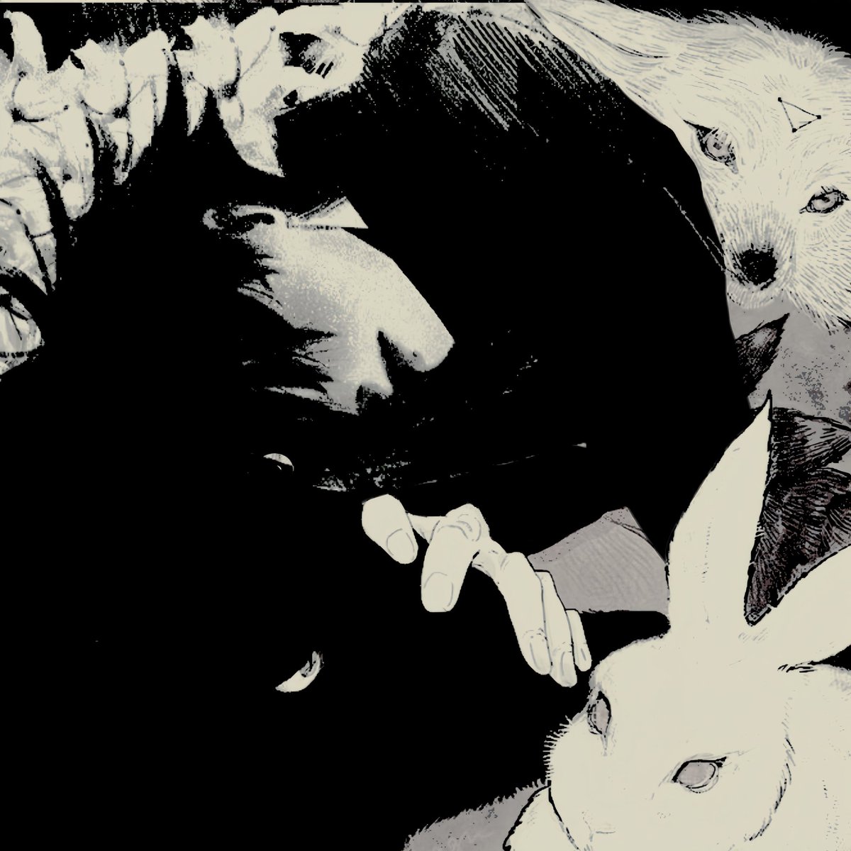 divinewolfz's tweet photo. https://t.co/JfF8EM40BB