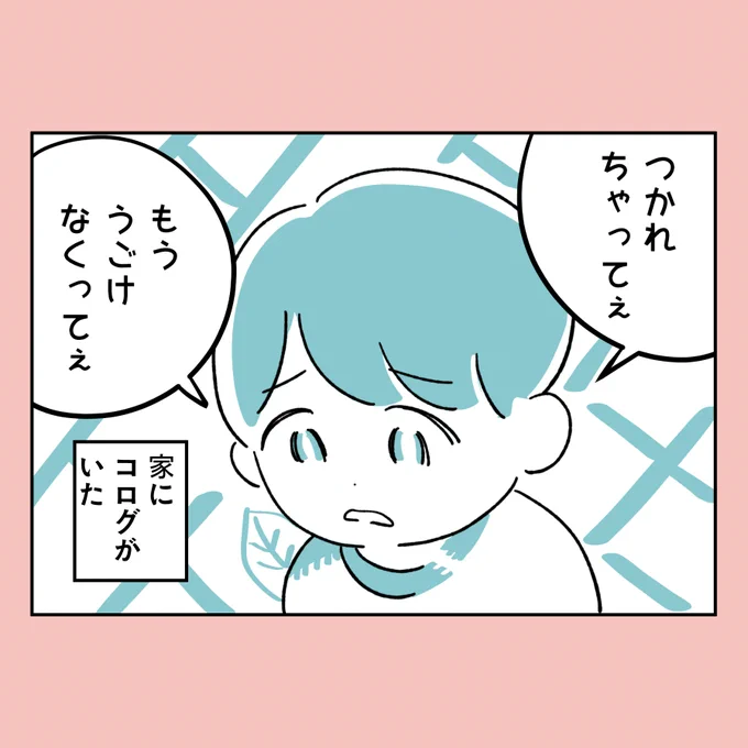 息子がコログになっちゃってぇ  #ゆり家の一コマ #漫画が読めるハッシュタグ #育児