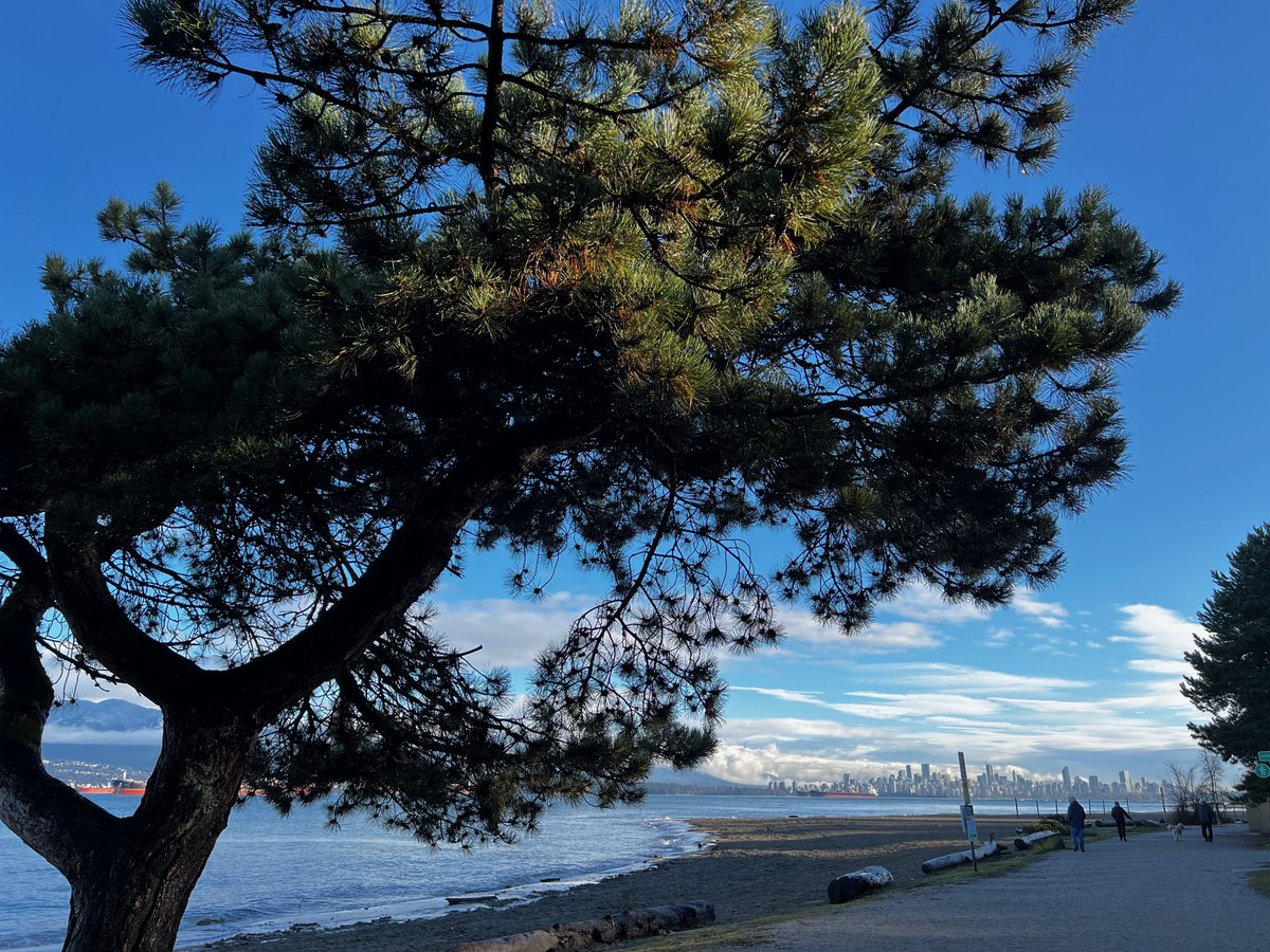 enjoying the days with no rain just before winter. :)