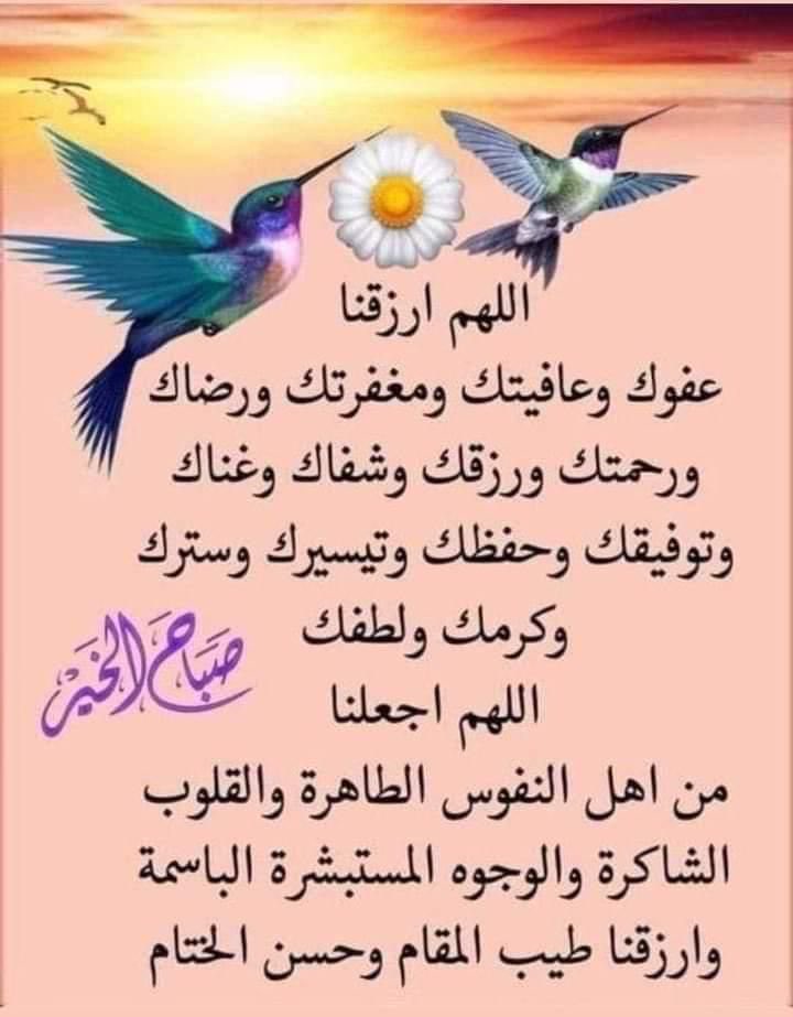 احمد (@wxvbakjsanzlwzt) on Twitter photo 