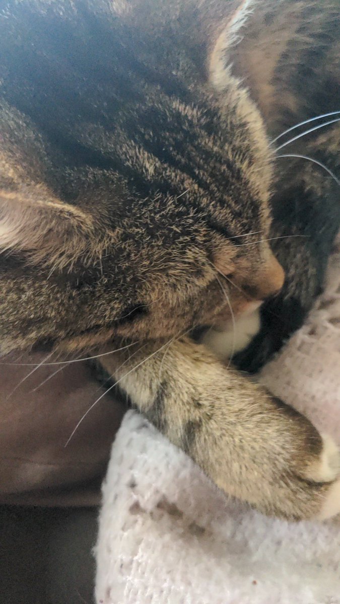 loladowling37's tweet photo. https://t.co/K6rh6Z8P5h