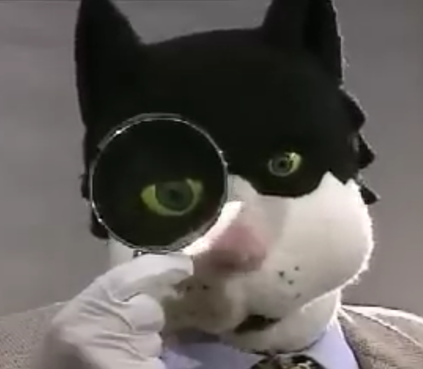 HannahM58930295's tweet photo. #telechat #telegato #Catmask #Cats i hope found it with english subtitles or spanish,looks cool. https://t.co/t7kuzJvPtc