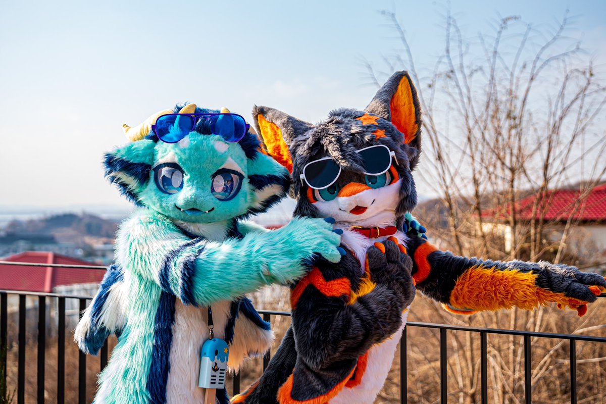 💙🧡

📸 : @danang1751 

#FursuitEverday #fursuit