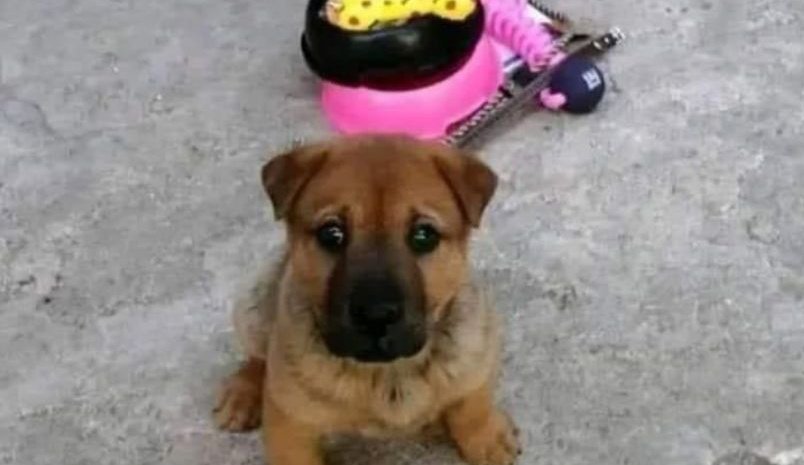 ElEmi212's tweet photo. @dedsafio A MI ME GUSTARÍA ENTRAR https://t.co/Oqt1l0fr6Q