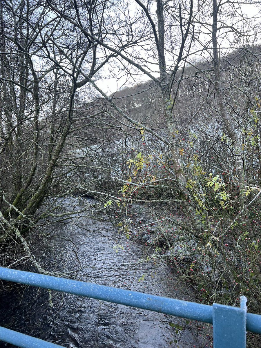 Harry Hiscox tweet media