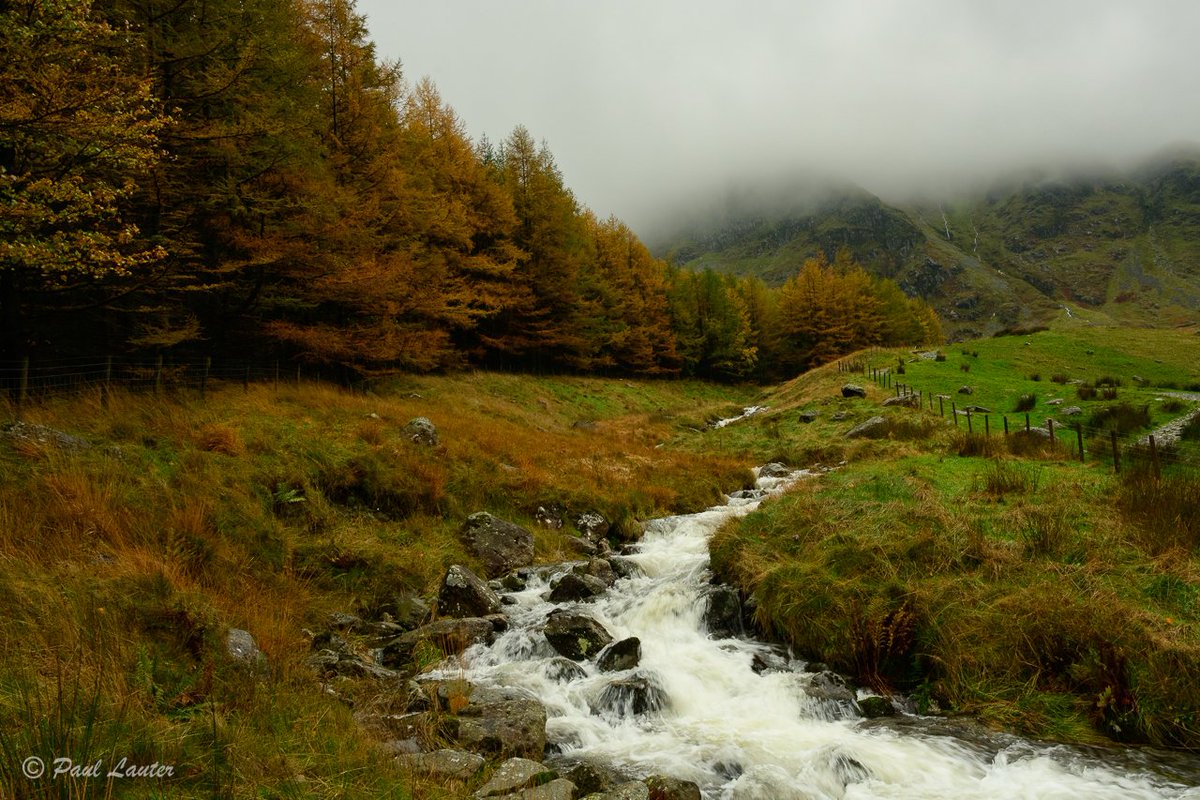 PaulLauterPhoto's tweet photo. For this weekend's photo, I thought I would share this view from above Haweswater, Lake District National Park, UK
#Autumn #autumnvibes #autumnwoods #autumntrees #landscapephotography #autumnstream #ukcountryside #uklandscape #natureswindow #lakedistrict #cumbria https://t.co/0LpylFnC6i