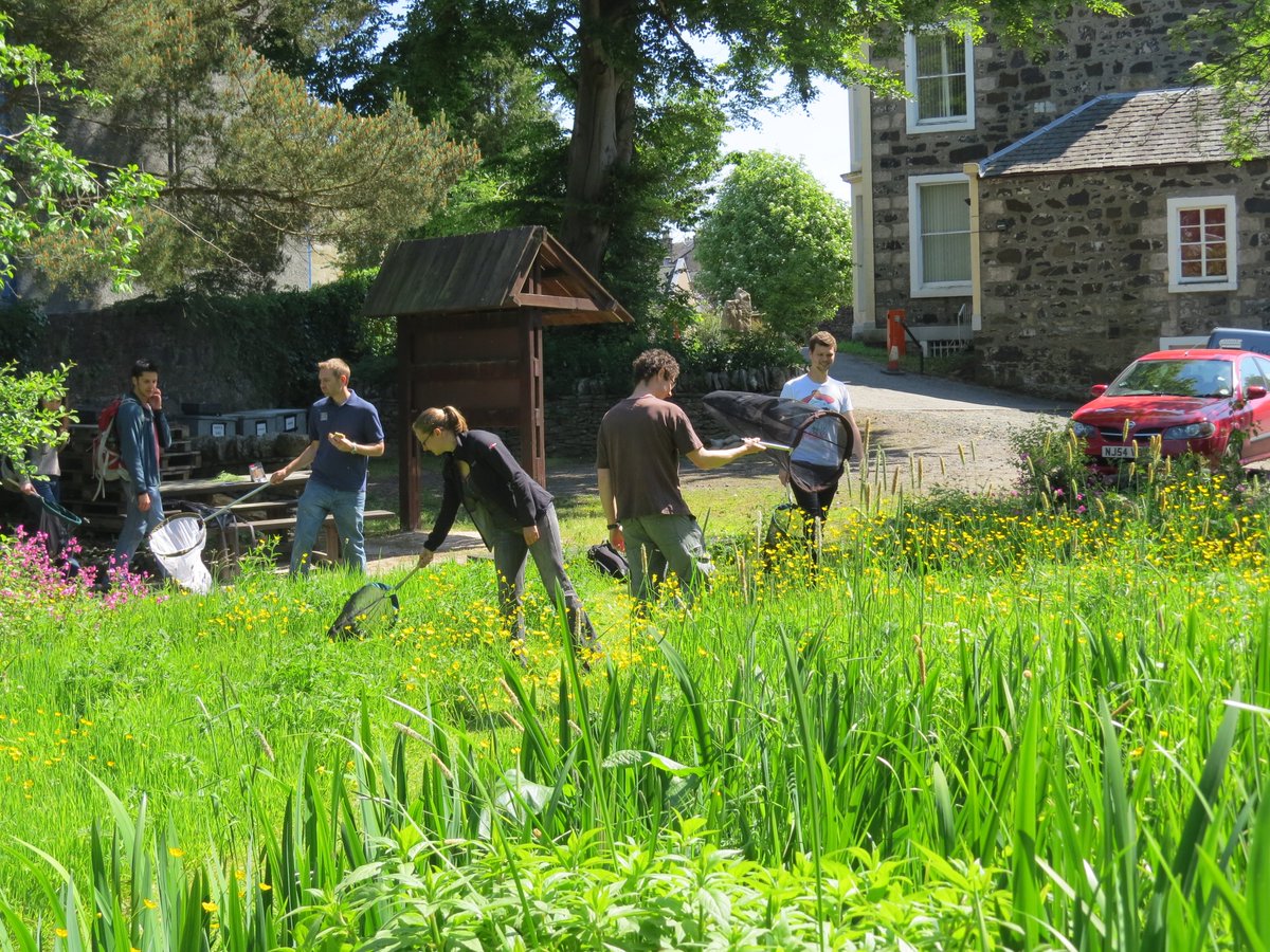 New guidelines for monitoring pollinators in urban habitats (this one with European focus) ieep.eu/publications/g…. Also see the recent one by @UK_CEH (@MirandaBeeGirl @mjopocock) ceh.ac.uk/news-and-media…