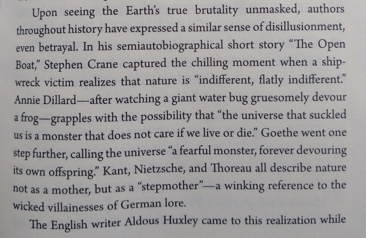 Jordan Rogers tweet media